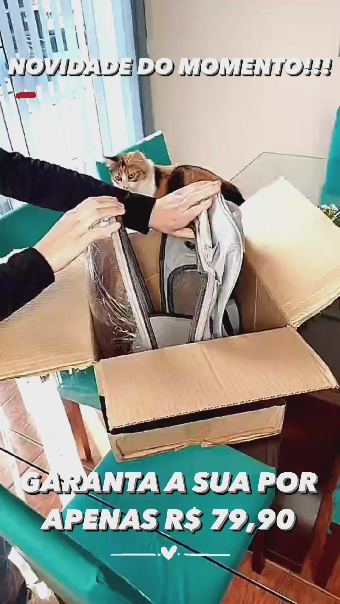 Mochila Astronauta Para Pets